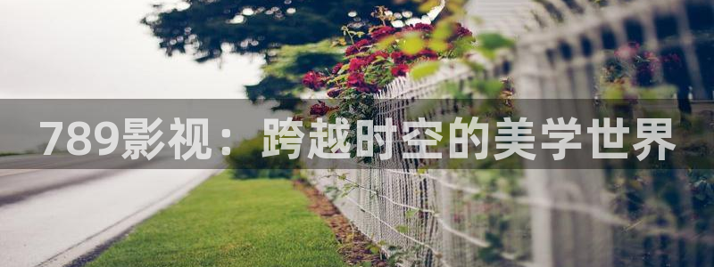 青柠影视