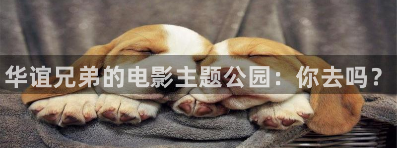 青柠影院在线播放免费观看电视剧的