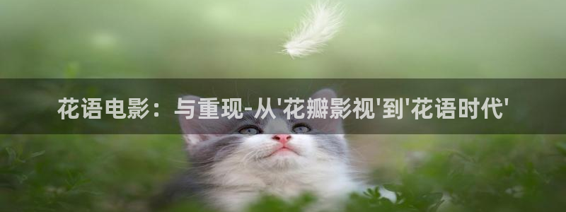 青柠高清影院免费观看电视剧
