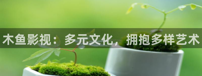 青柠影视网