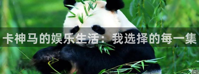 青柠影院热门电视剧有哪些